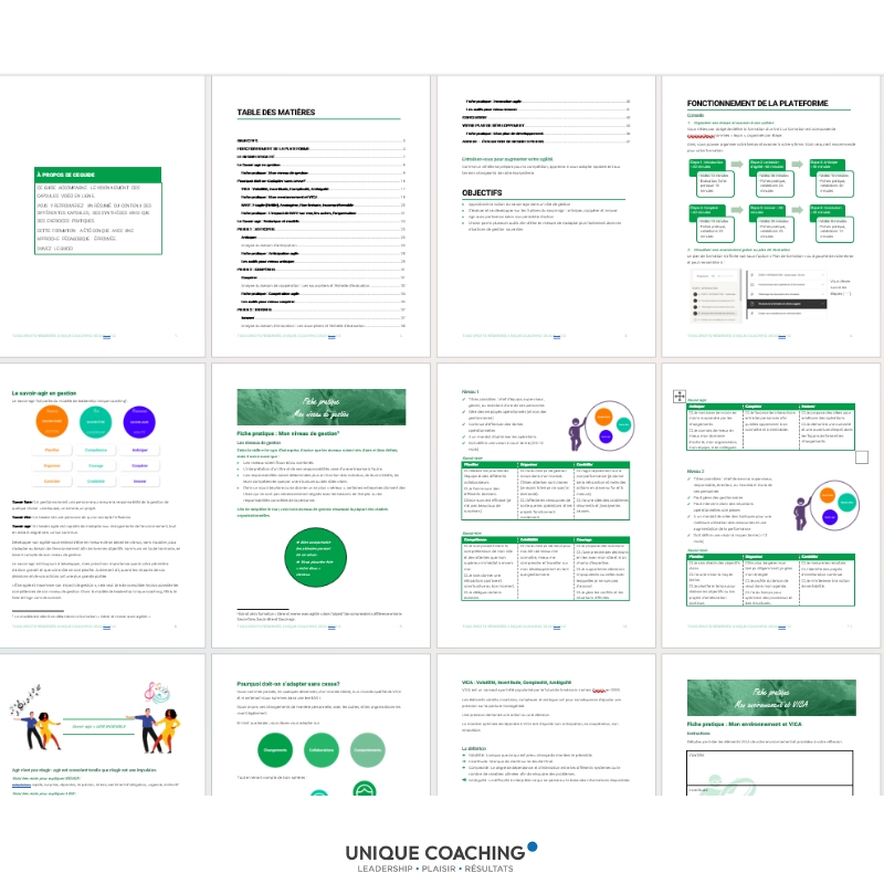 formation agilité managériale comportementale manuel unique coaching