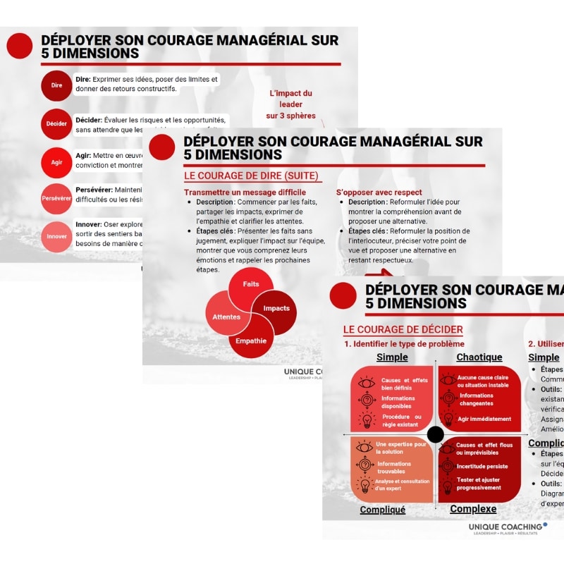 formation courage managérial aide mémoire