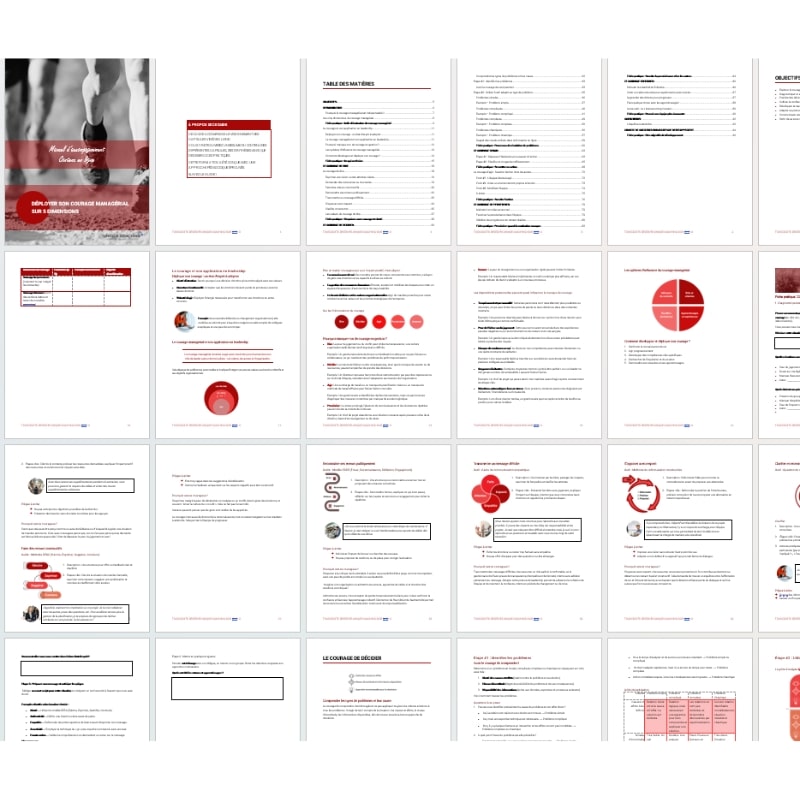 formation courage managerial manuel exemple