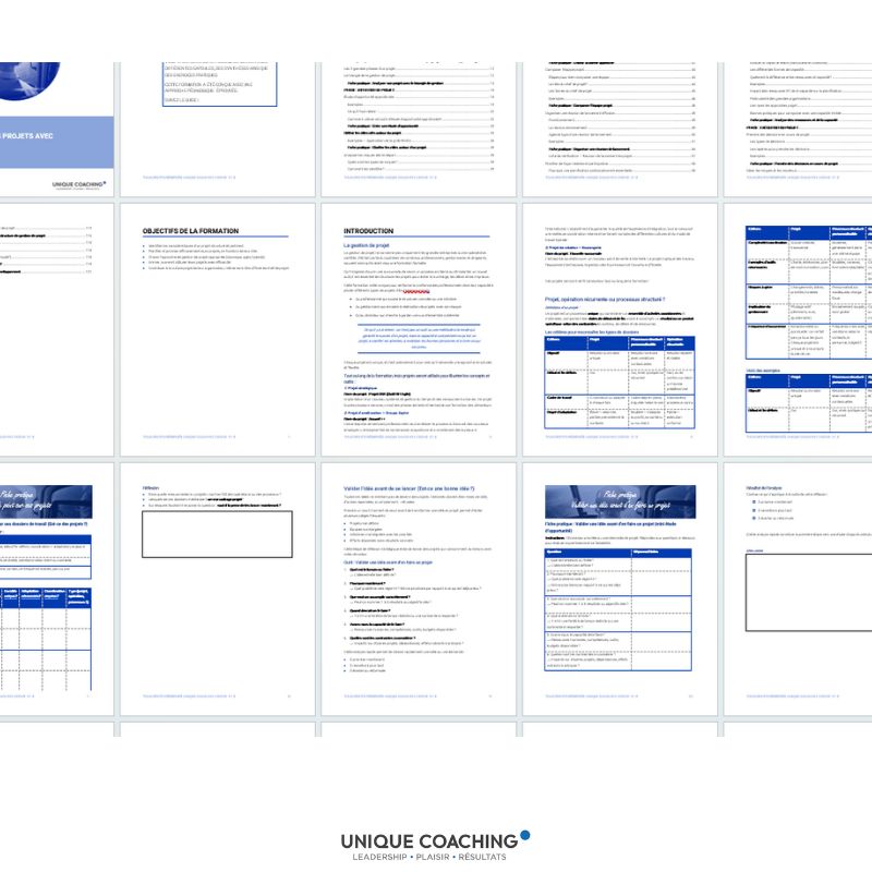 formation gestion de projet mnauelen ligne autoformation elearning piloter les projets fiche pratiques