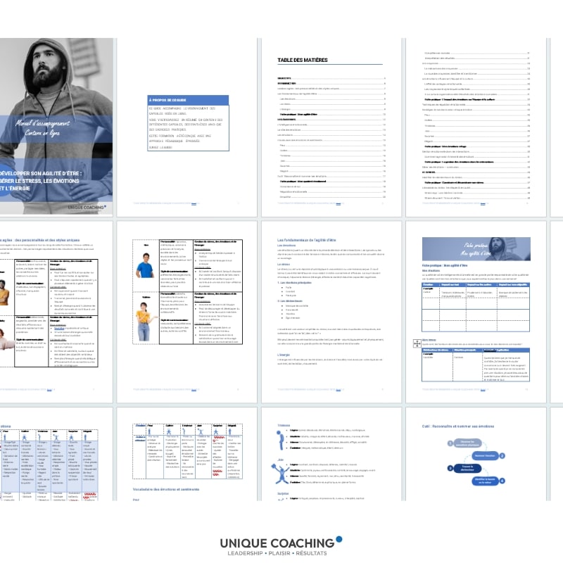 formation gestion du stress et des émotions manuel