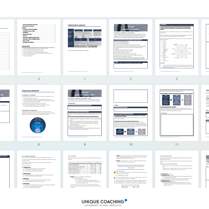 formation gestion du temps et des priorités manuel et délégation
