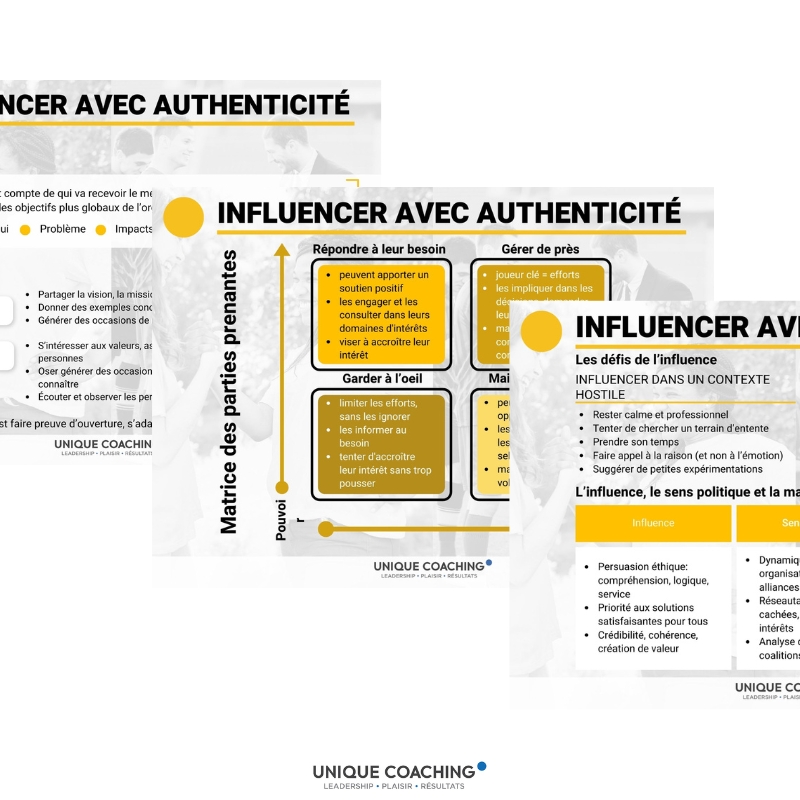 formation influence leadership carte aide-mémoire