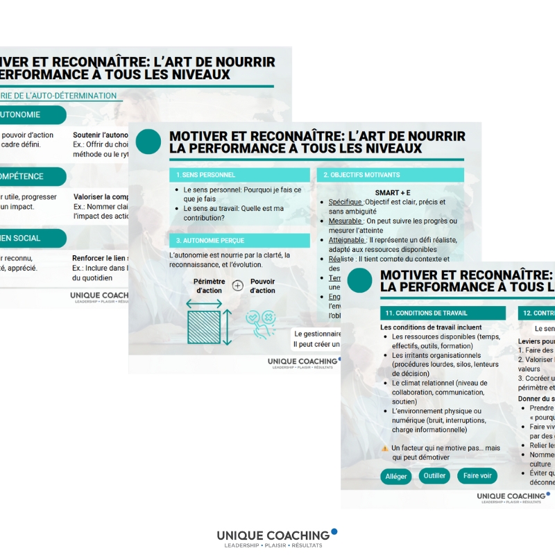 formation motivation et reconnaissance performance aide mémoire unique coaching