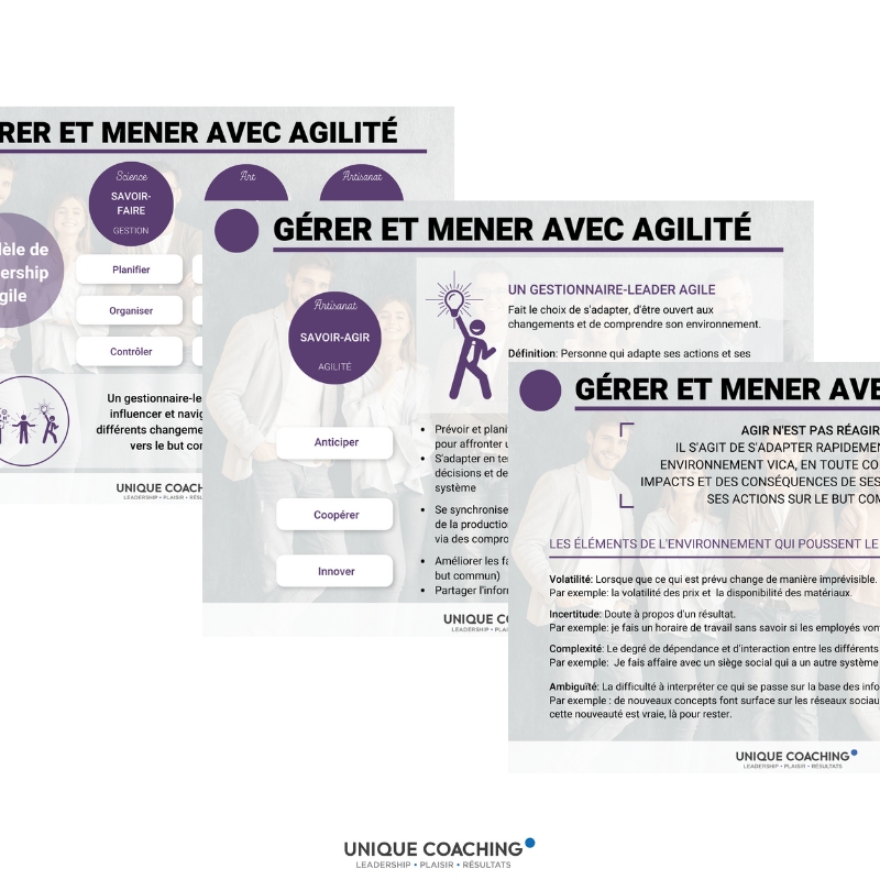 formation nouveau gestionnaire gérer et mener avec agilité aide mémoire