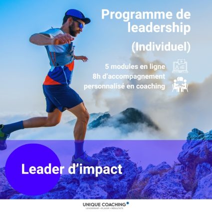 programme leader impact woocommerce